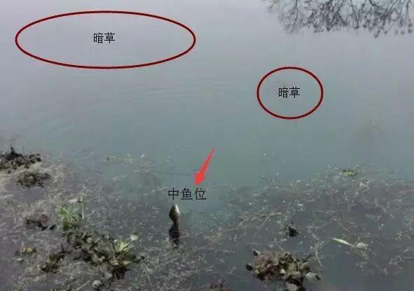 长竿短线钓鲫鱼，这3个重点要抓住 第5张