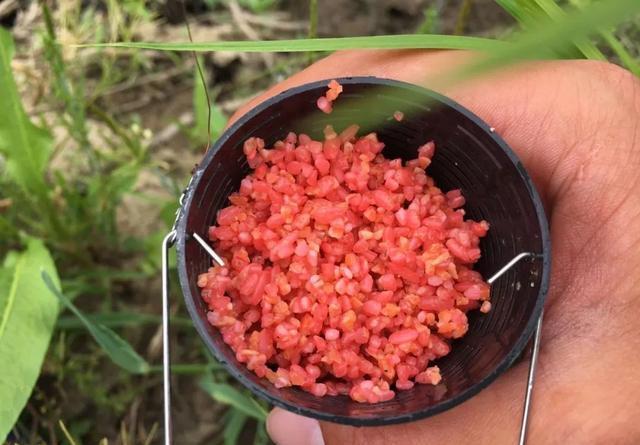 长竿短线钓鲫鱼，这3个重点要抓住 第9张