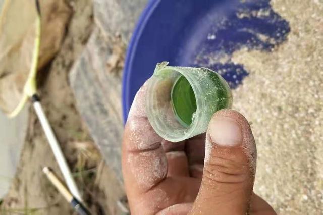 立秋后，板鲫就按我说的钓，包你满意 第5张
