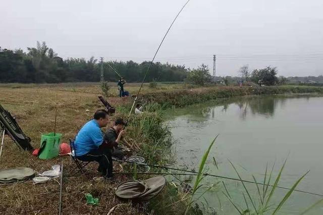 不是大板鲫不咬钩，只因你没用这狠招 第1张
