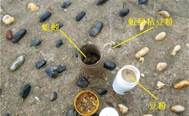 野钓秘方：秋天用蚯蚓钓鲫鱼，最好增加2个步骤 第7张