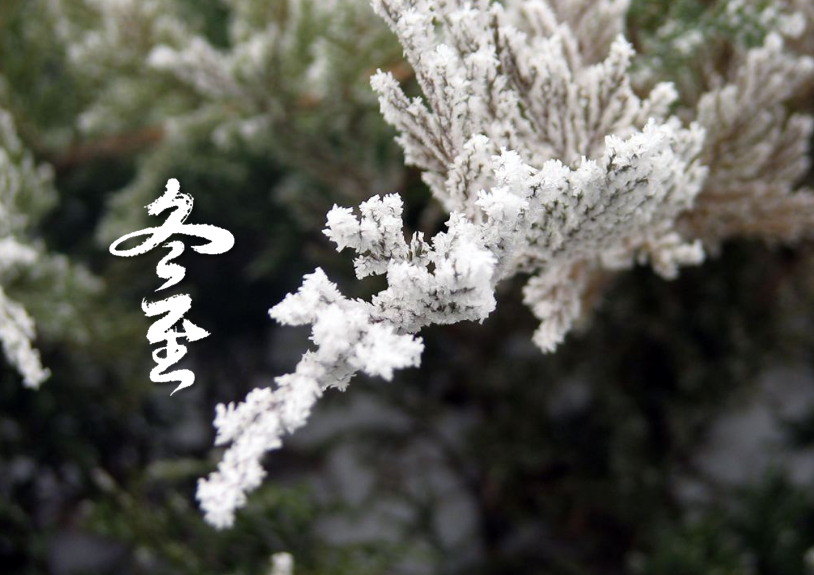 「诗词鉴赏」冬至阳生春又来，十二首冬至的诗词，自有春意萌动 第5张