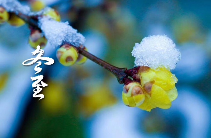 「诗词鉴赏」冬至阳生春又来，十二首冬至的诗词，自有春意萌动 第39张