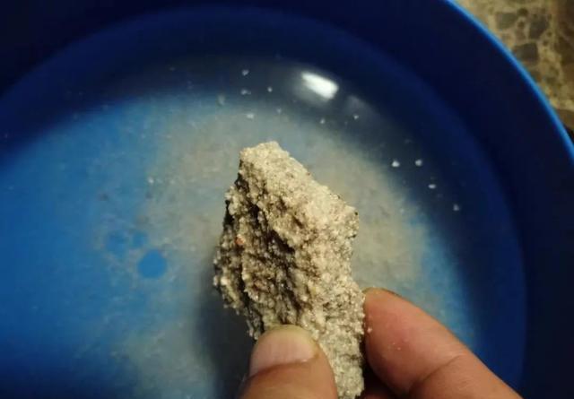 鲤鱼很爱吃的花生枯，这样使用效果更好 第5张