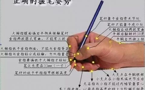 正确的握笔姿势有几种（正确的握笔姿势8个要点）