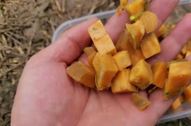 这饵料才几块一斤，专攻大鲤鱼 第5张