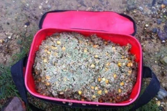 钓鲤鱼只要用好这打窝诀窍，根本不愁鱼获不够好 第1张
