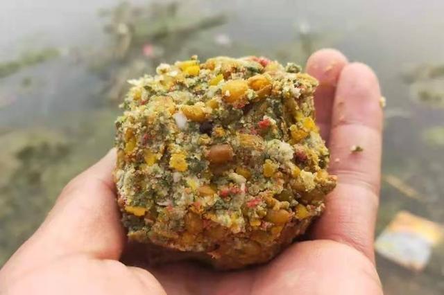 钓鲤鱼只要用好这打窝诀窍，根本不愁鱼获不够好 第3张