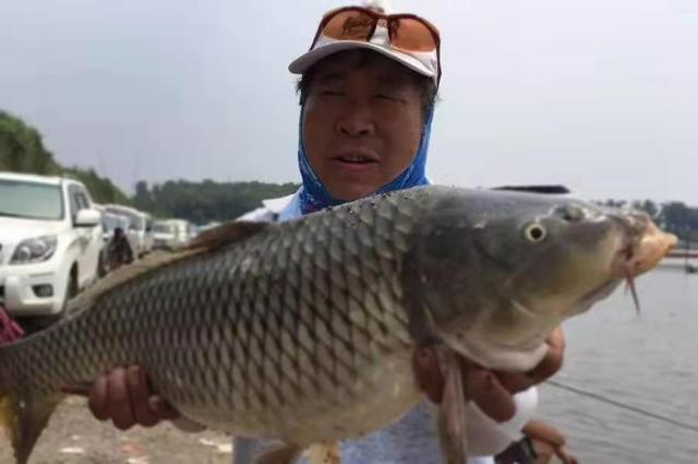 钓鲤鱼只要用好这打窝诀窍，根本不愁鱼获不够好 第5张