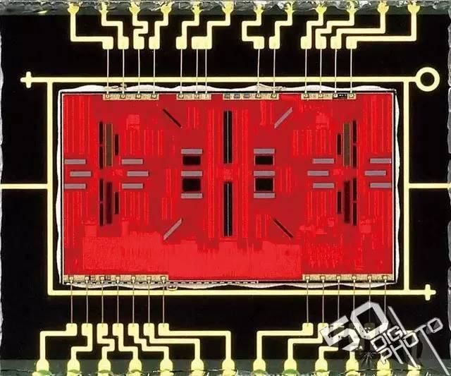 摄影新手对焦教程_2 第3张
