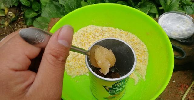 这样自制野钓鲤鱼发酵甜饵，简单又好用 第11张