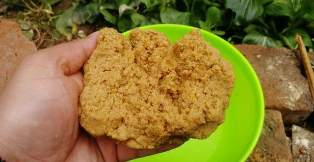 这样自制野钓鲤鱼发酵甜饵，简单又好用 第13张