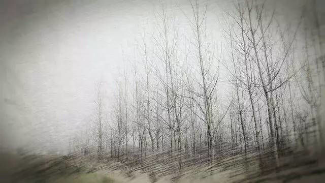 关于摄影构图的技巧_2 第3张