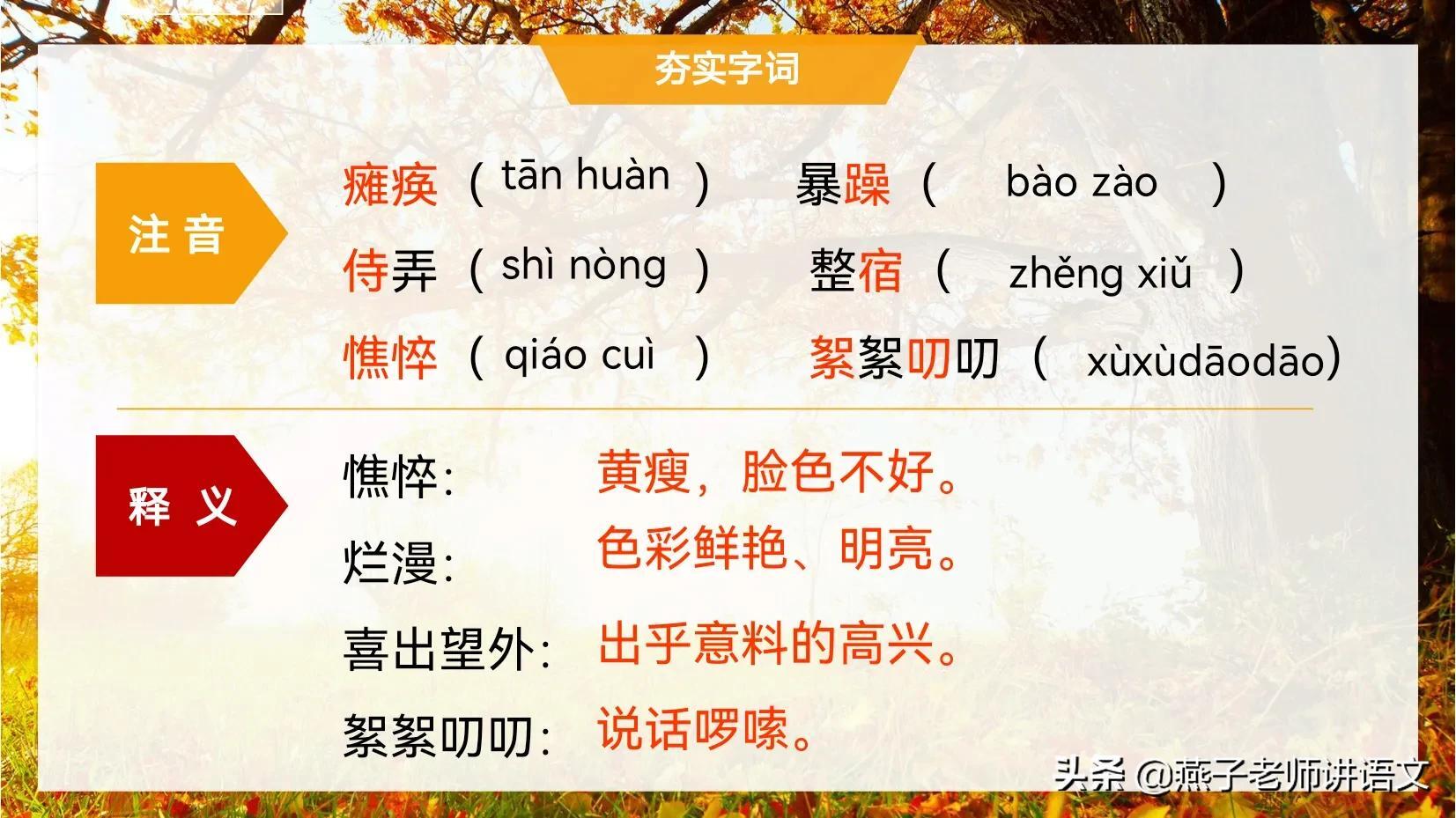 七上《秋天的怀念》手写笔记、线索作用、动词赏析、感情基调 第7张