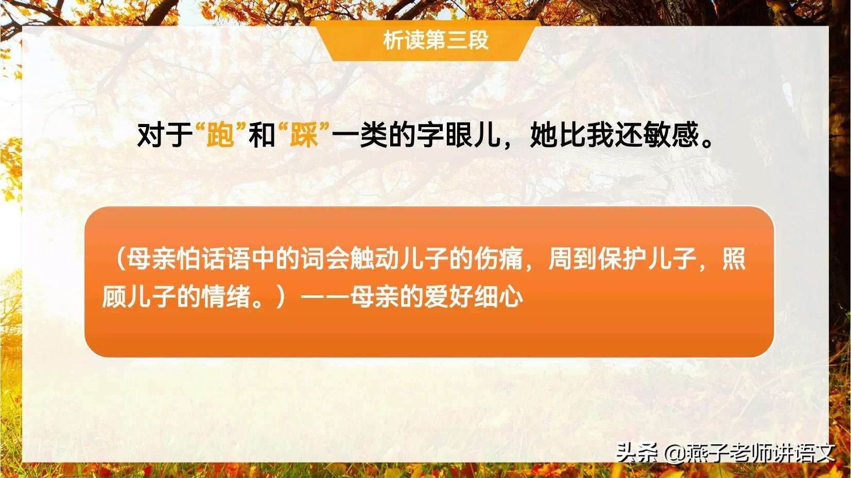 七上《秋天的怀念》手写笔记、线索作用、动词赏析、感情基调 第9张