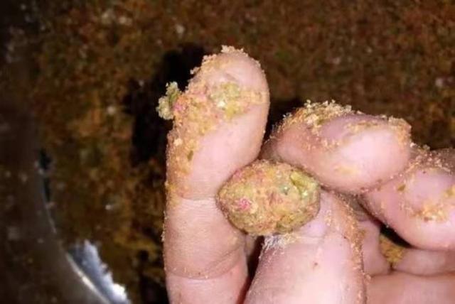 怪不得板鲫越来越多，自从换用这调整策略 第3张