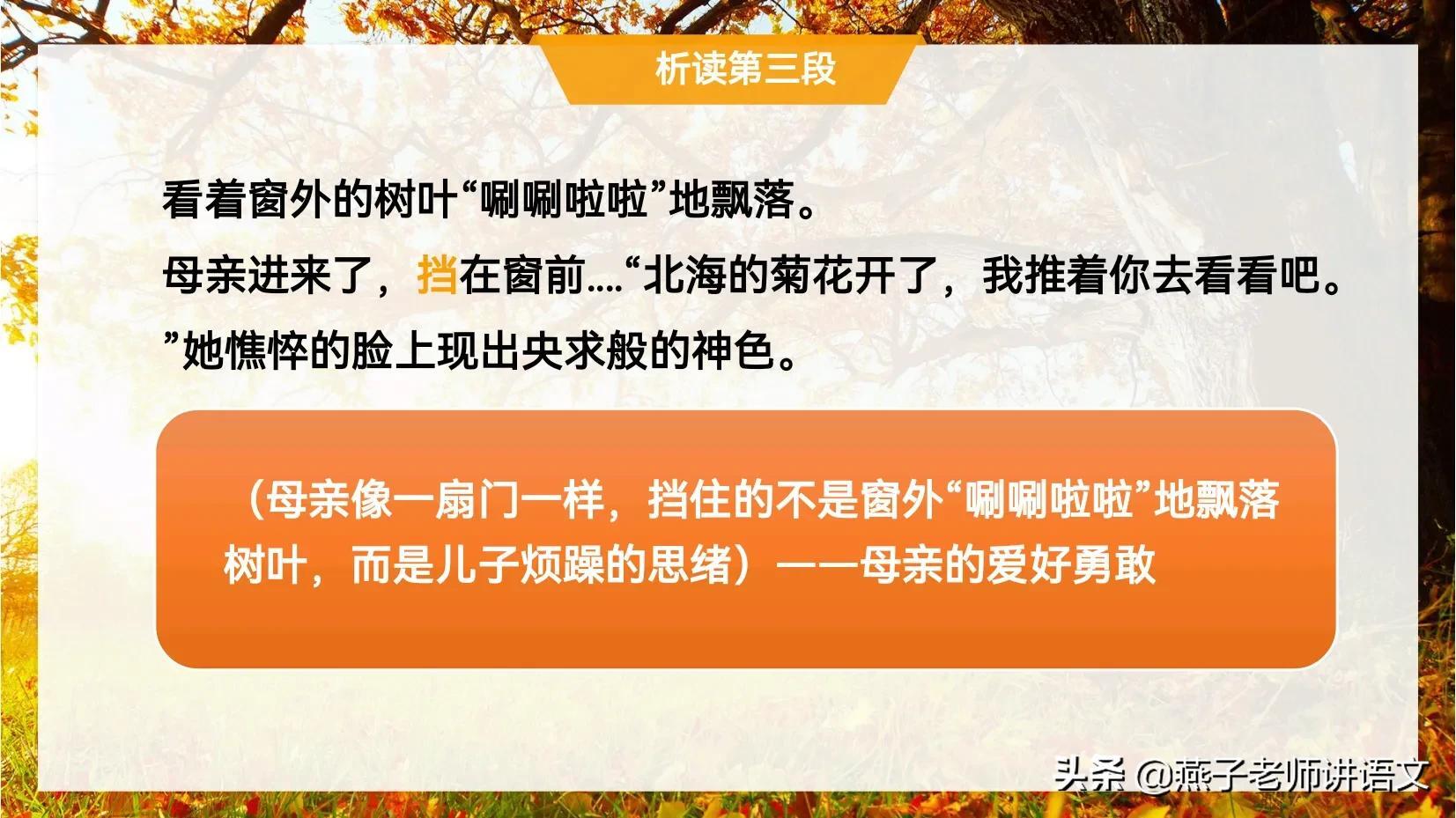七上《秋天的怀念》手写笔记、线索作用、动词赏析、感情基调 第11张