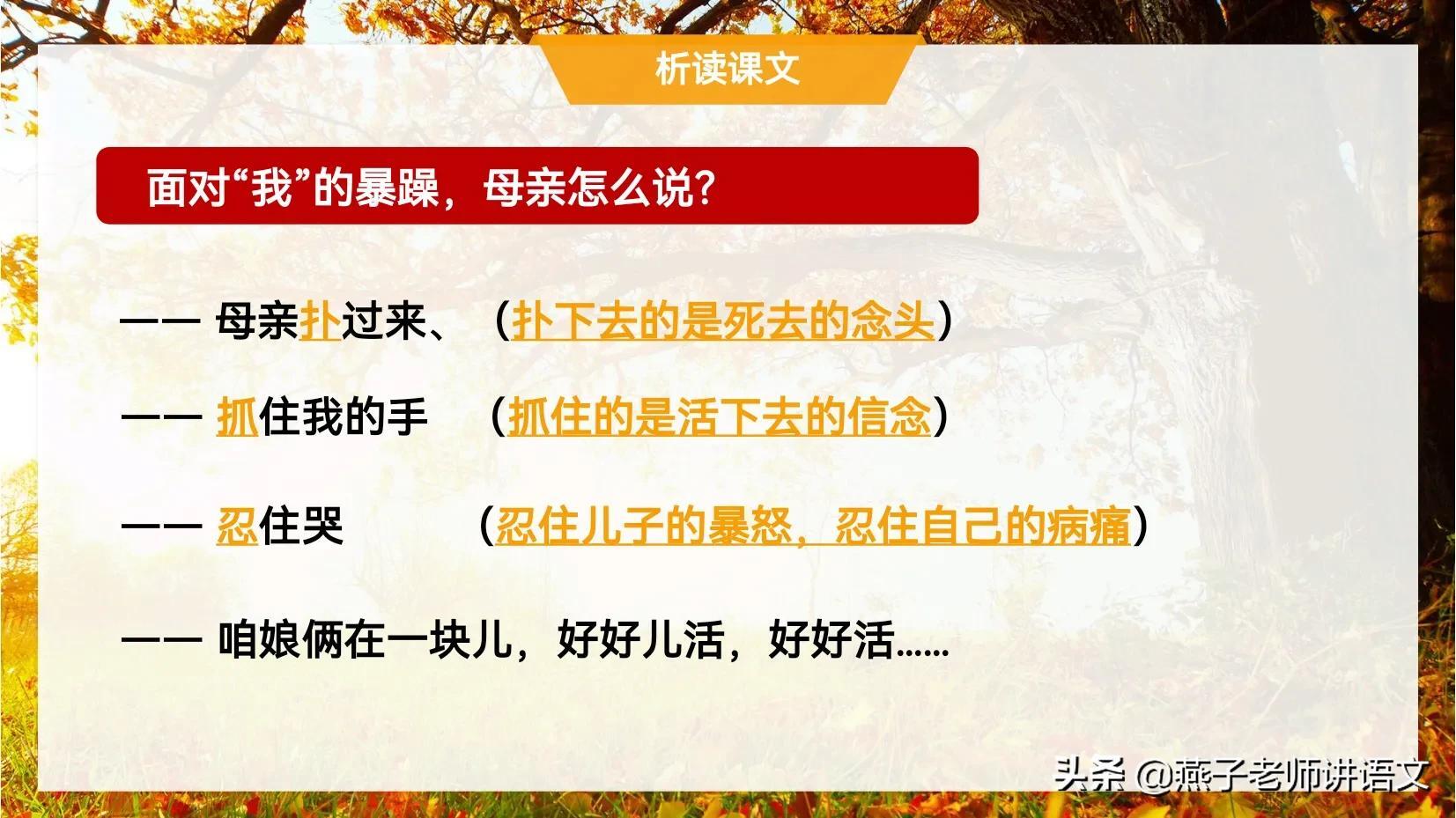 七上《秋天的怀念》手写笔记、线索作用、动词赏析、感情基调 第13张