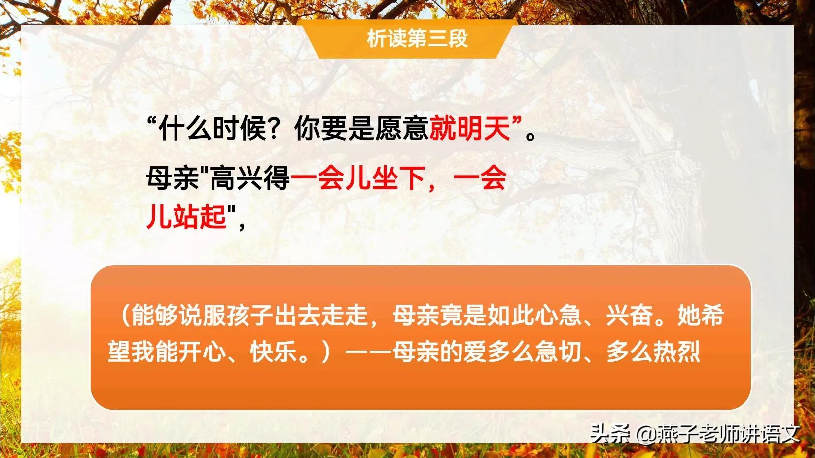 七上《秋天的怀念》手写笔记、线索作用、动词赏析、感情基调 第15张