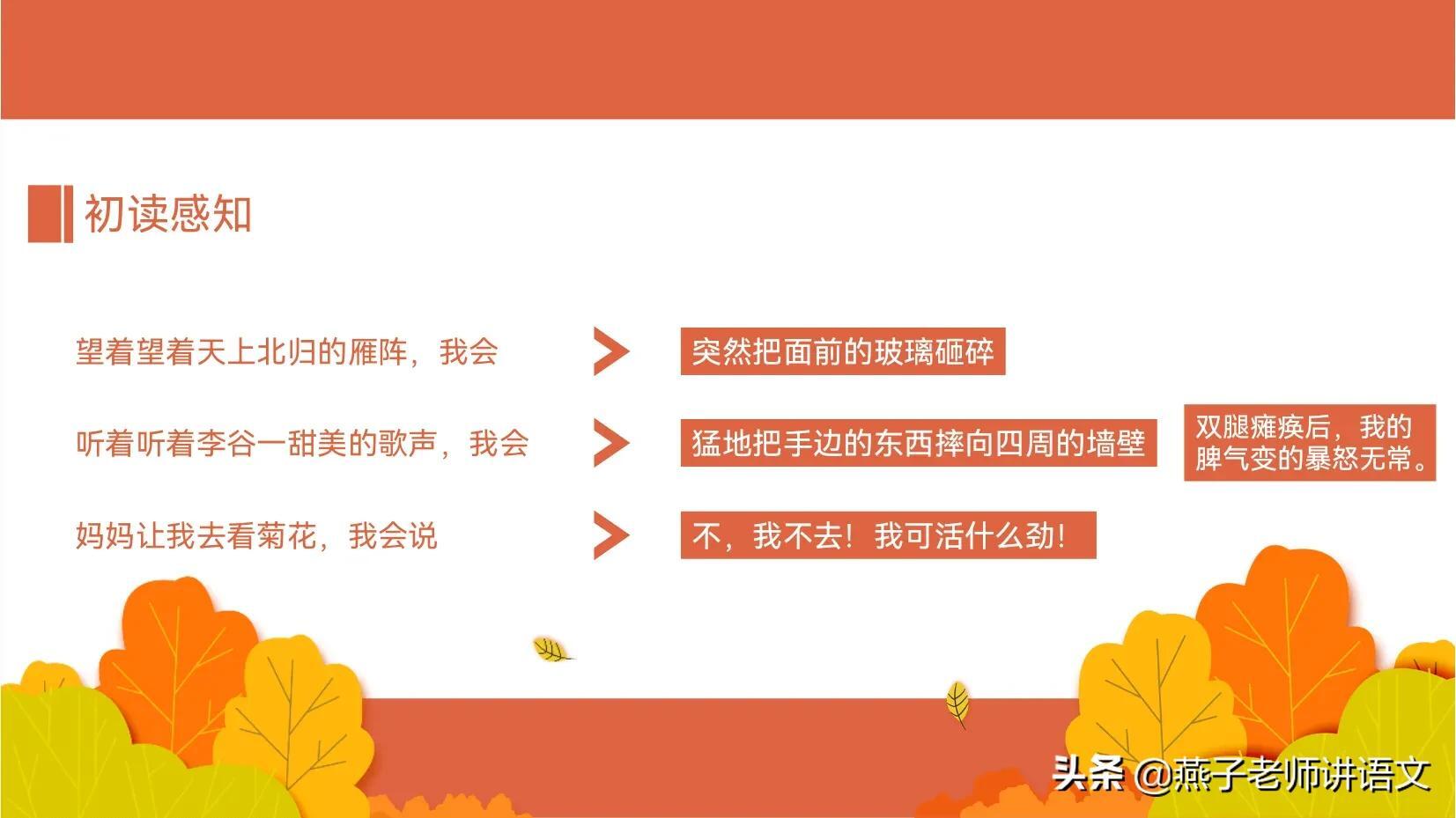 七上《秋天的怀念》手写笔记、线索作用、动词赏析、感情基调 第17张