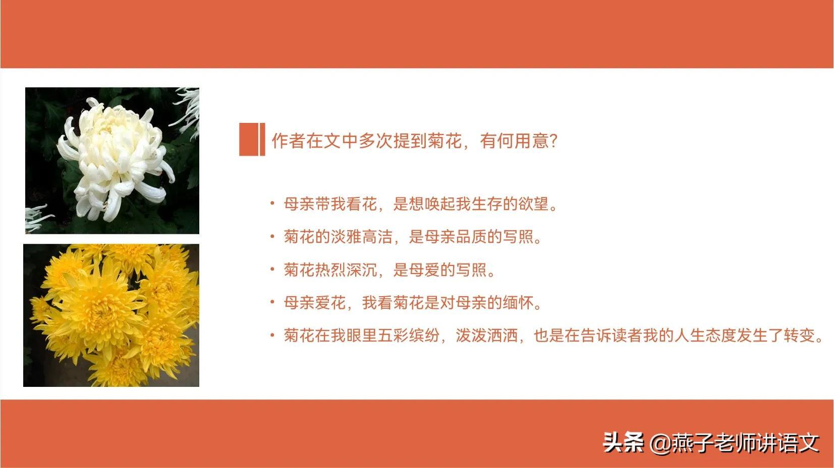 七上《秋天的怀念》手写笔记、线索作用、动词赏析、感情基调 第27张