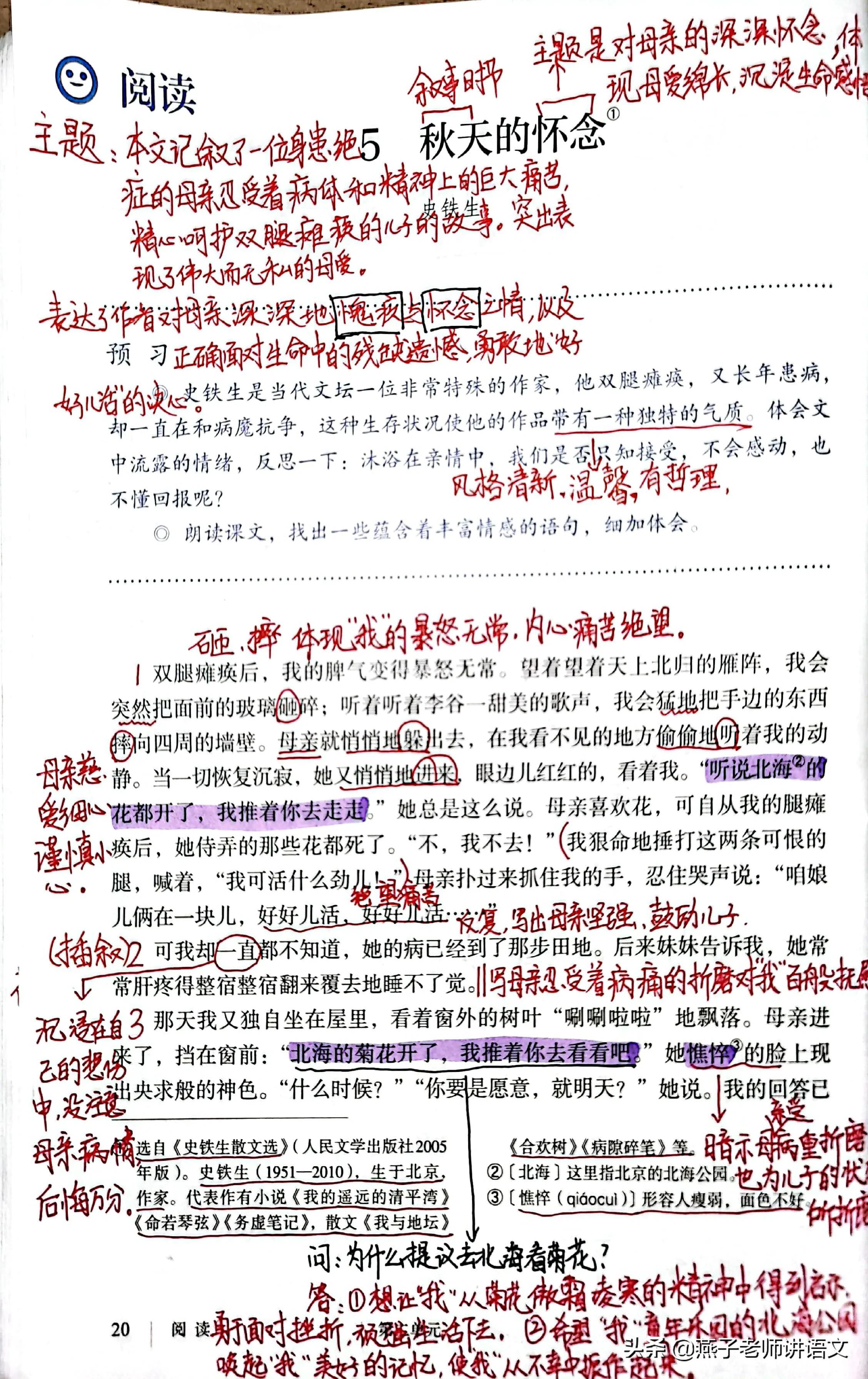 七上《秋天的怀念》手写笔记、线索作用、动词赏析、感情基调 第31张