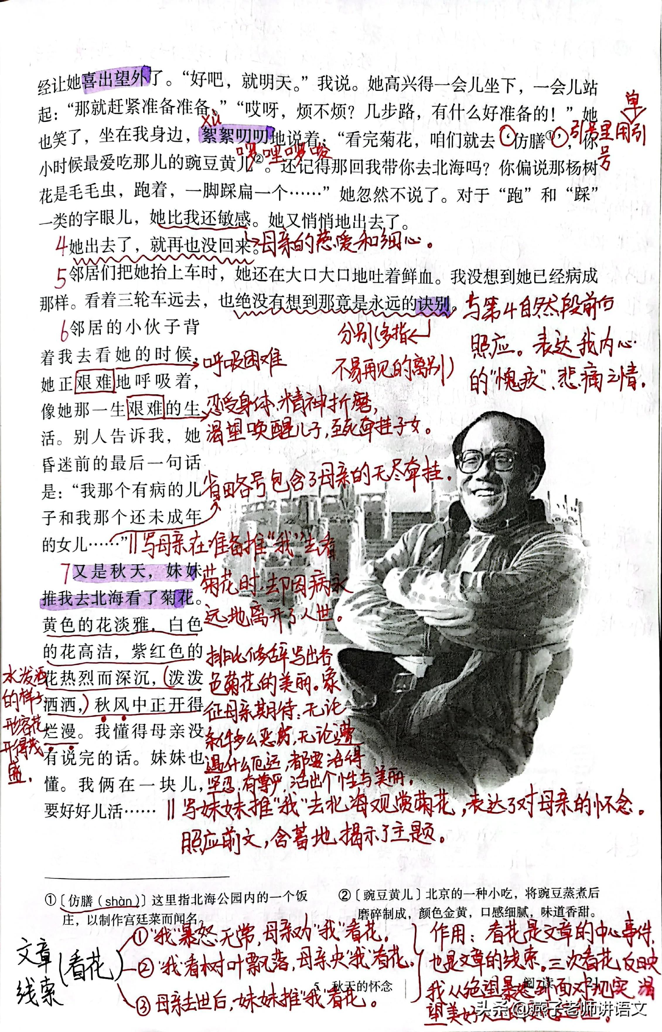 七上《秋天的怀念》手写笔记、线索作用、动词赏析、感情基调 第33张
