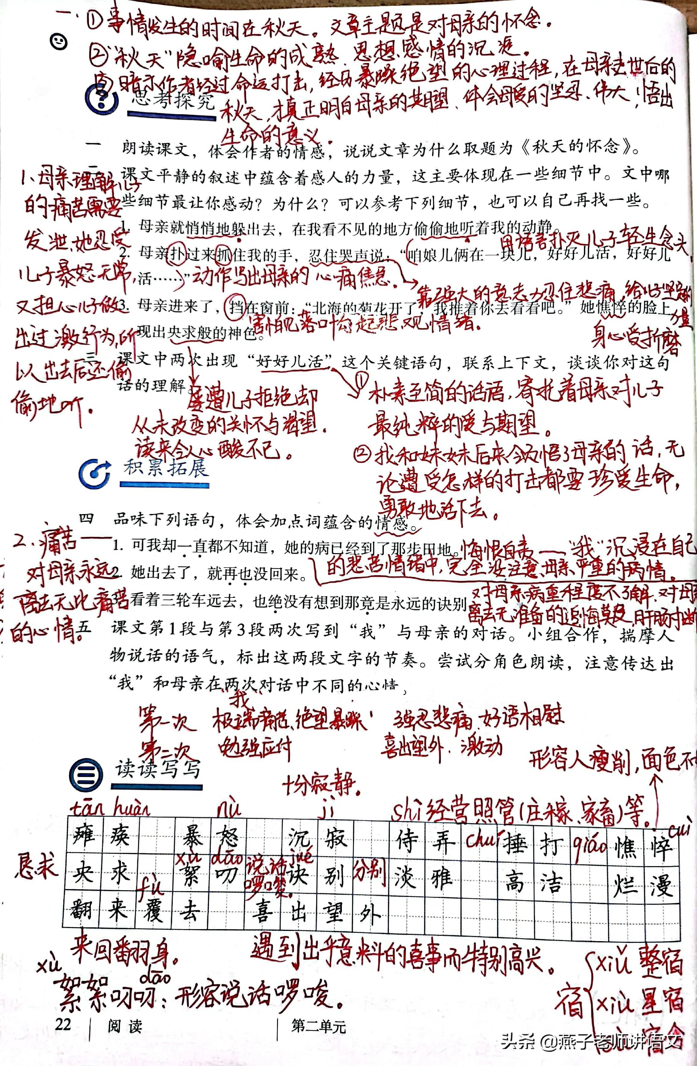 七上《秋天的怀念》手写笔记、线索作用、动词赏析、感情基调 第35张