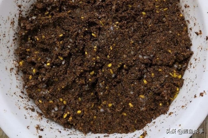 早春钓鱼，钓鱼人不愿透露的技巧，却隐藏着鱼获翻倍的绝招 第19张