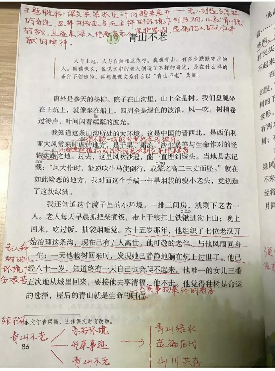 六年级语文上册第十九课《青山不老》课文笔记，预习专用 第1张