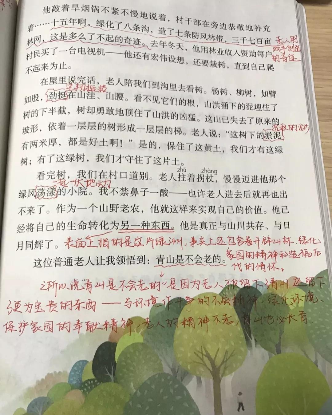 六年级语文上册第十九课《青山不老》课文笔记，预习专用 第3张