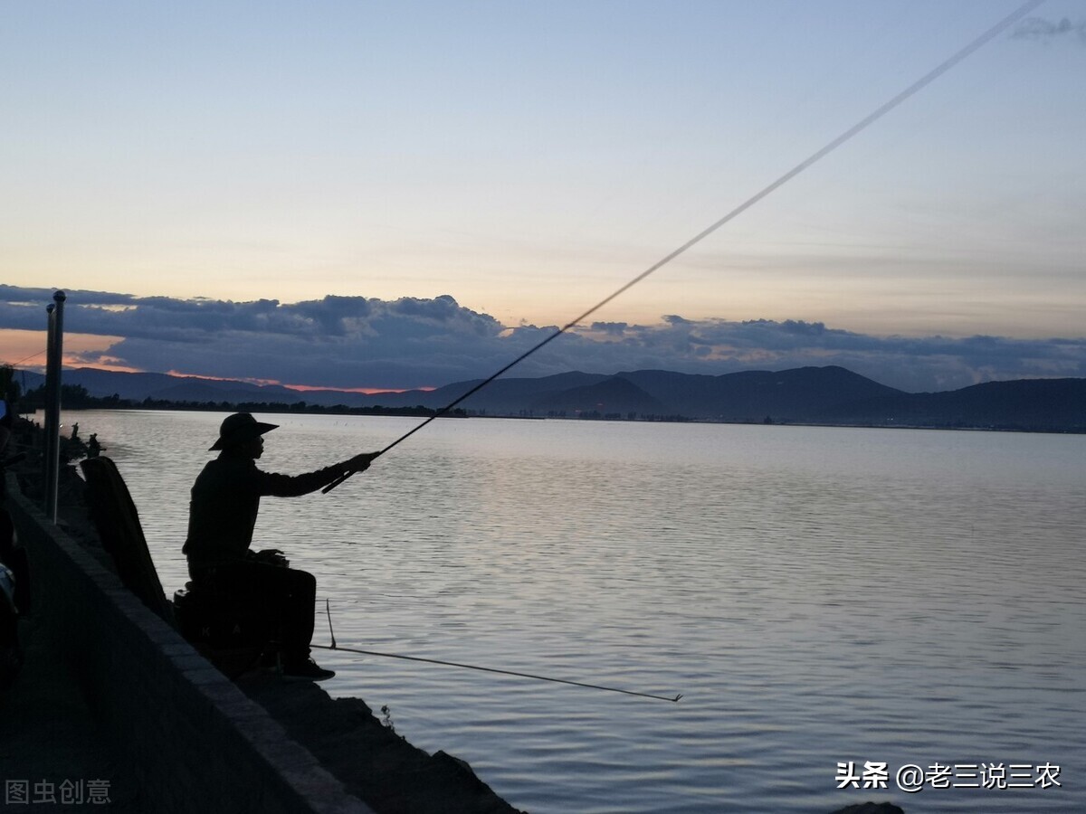 怎样钓到大鱼？怎样钓鱼多？这5点技巧，你最好提前知道 第5张
