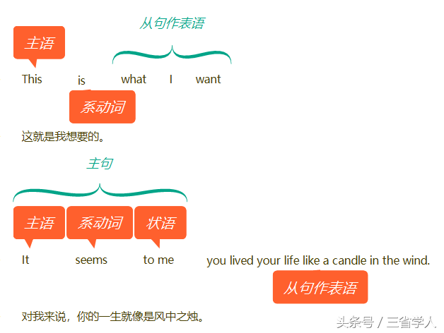 表语是什么？怎么用？ 第9张