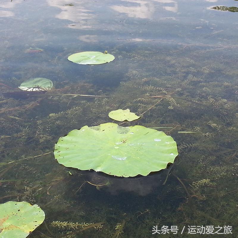老司机教你的钓鱼技巧，还不赶快上车 第5张