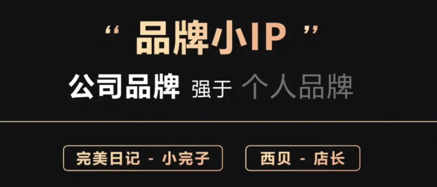 IP和品牌矩阵搭建指南，请转发给操盘手。 第5张