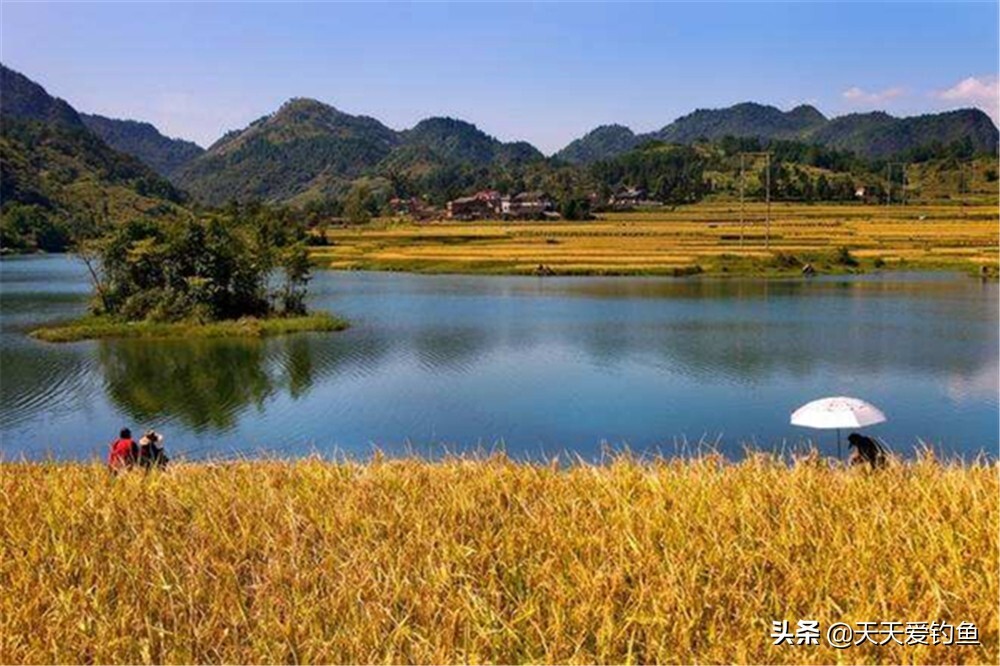 钓鱼技巧：四季钓鱼时间表，凡是鱼好钓的阶段，一定满足这些特点 第7张