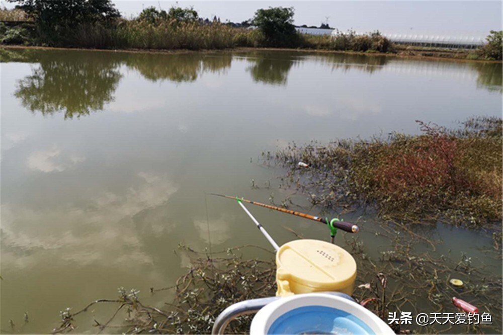 钓鱼技巧：四季钓鱼时间表，凡是鱼好钓的阶段，一定满足这些特点 第9张