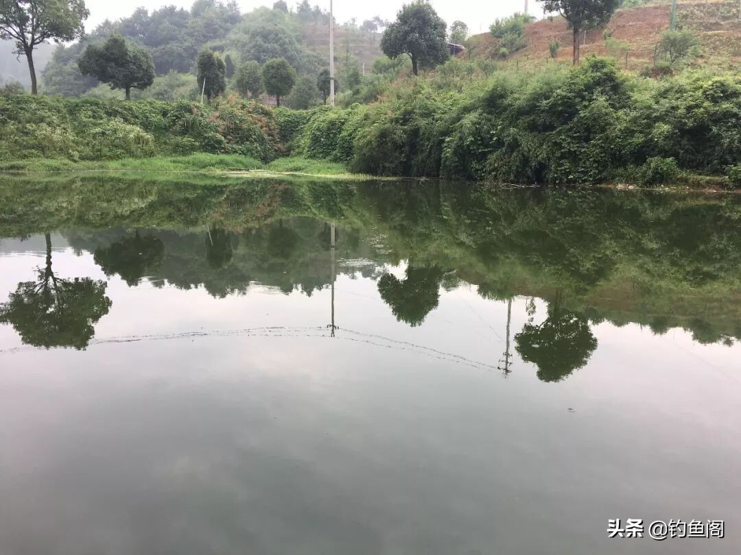 工作中，被压抑的情绪怎么破？ 第3张