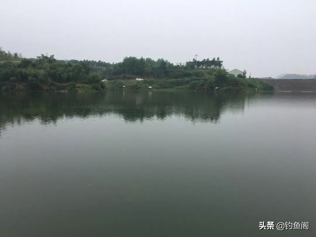 不打窝也想钓得多？没问题，教你几个野钓很实在的技巧 第5张