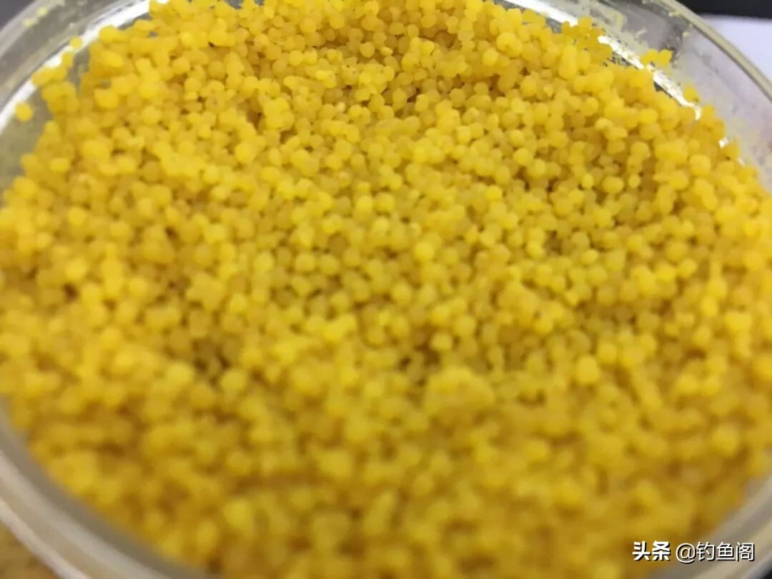 不打窝也想钓得多？没问题，教你几个野钓很实在的技巧 第9张