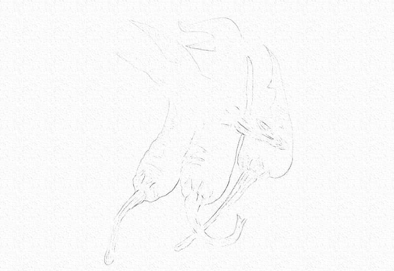 辣椒彩铅画教程图解 第3张