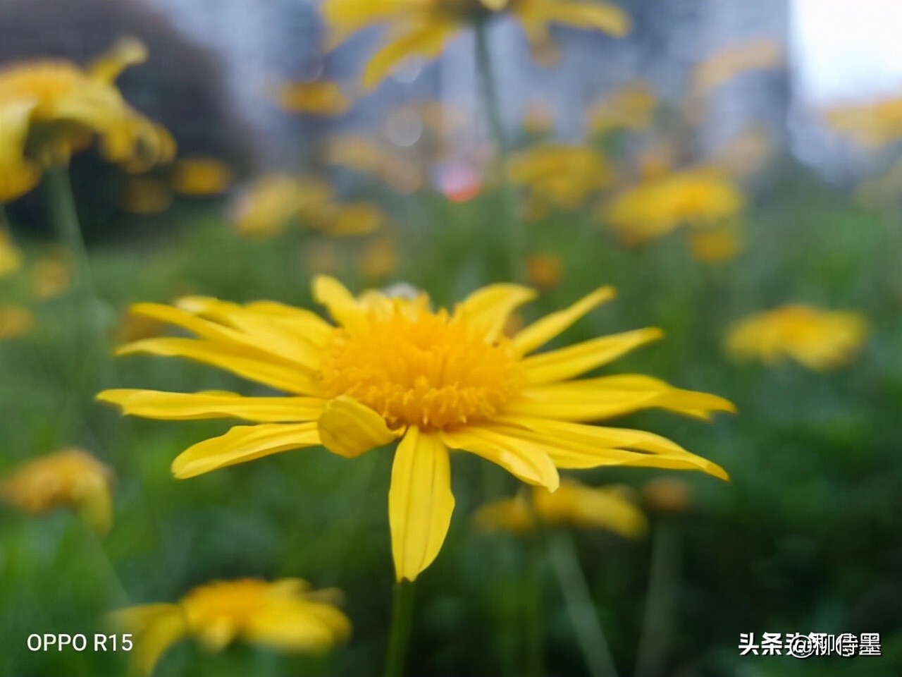 照片怎么能“显灵”？3个摄影技巧简单易学，拍照效果真好 第7张