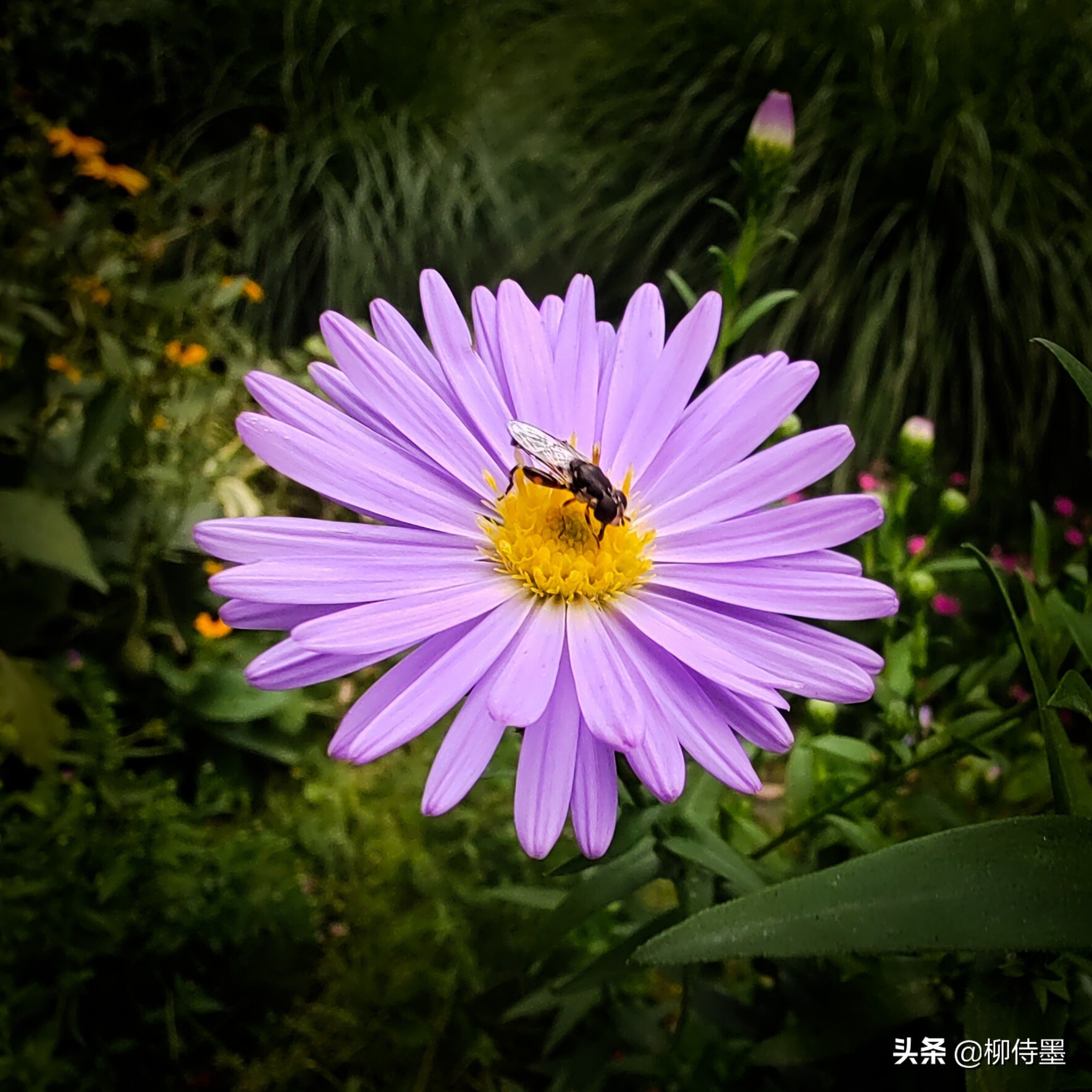照片怎么能“显灵”？3个摄影技巧简单易学，拍照效果真好 第15张