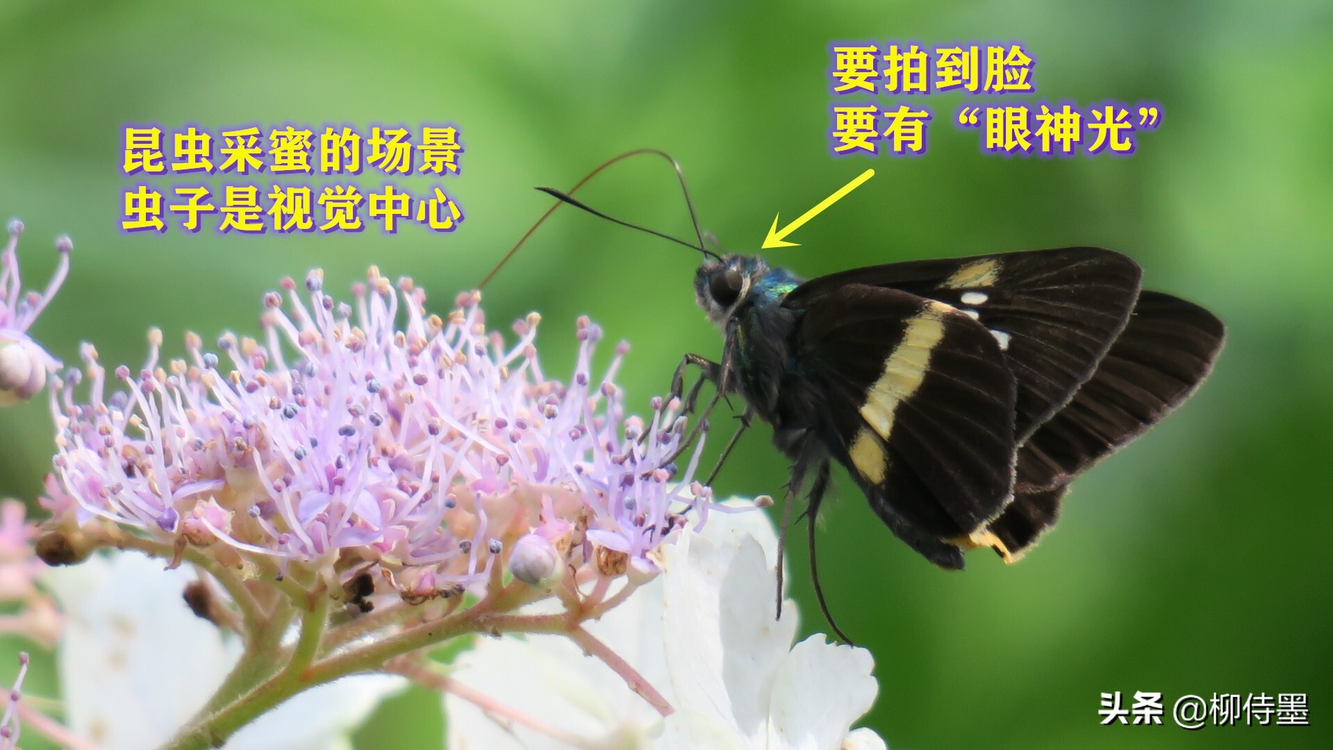 照片怎么能“显灵”？3个摄影技巧简单易学，拍照效果真好 第29张