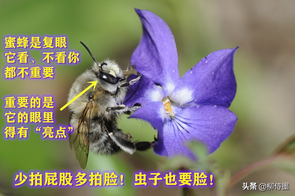 照片怎么能“显灵”？3个摄影技巧简单易学，拍照效果真好 第33张