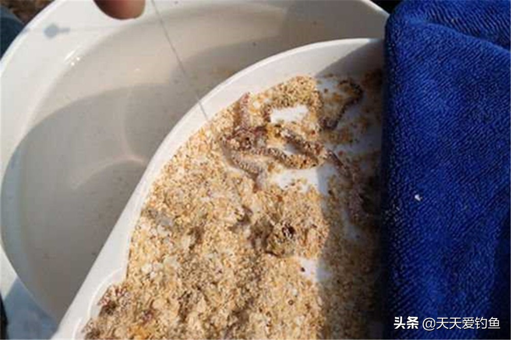 野钓技巧：民间用饵四大技巧，各有各的好，都适合用来钓大鱼 第9张
