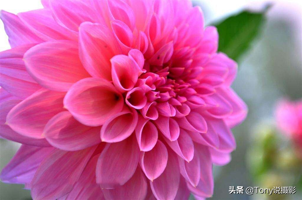 掌握这8个摄影技巧知识，让你拍的照片更好看 第5张