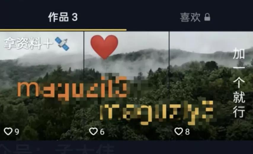 鸟哥笔记,用户运营,晏涛三寿,私域流量,方法论,流量,抖音 第11张
