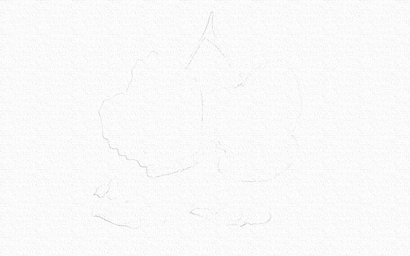 彩铅画荔枝教程步骤图 第3张