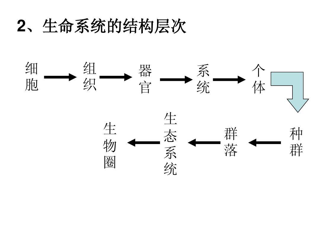 生命系统的结构层次有哪些（初中生物高频必背知识） 第3张